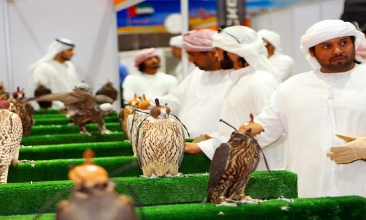 أبو ظبى تُطلق أكبر مهرجان للصقور فى العالم بمشاركة 82 دولة