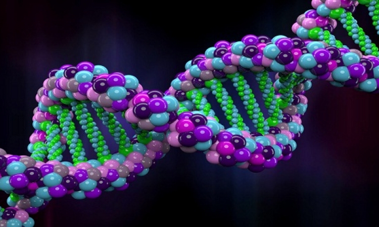 بريطانيا تطلق مراكز تكتشف التسلسل الجينى لعلاج الأمراض النادرة