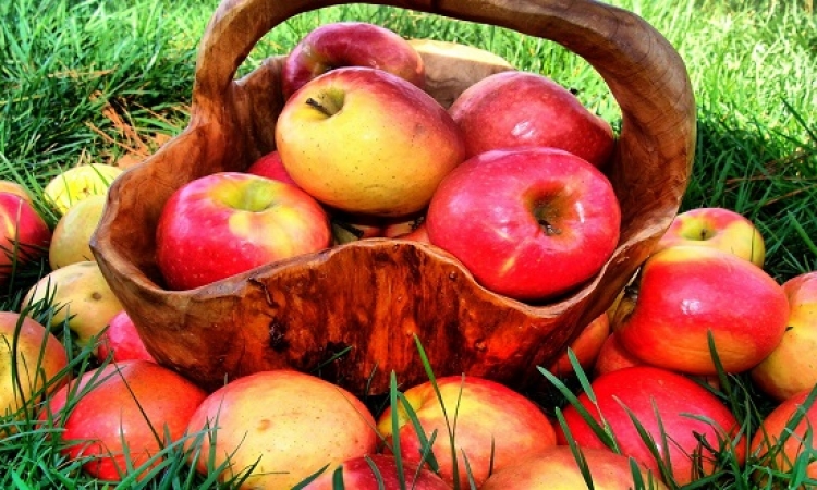 الفوائد السحرية للتفاح