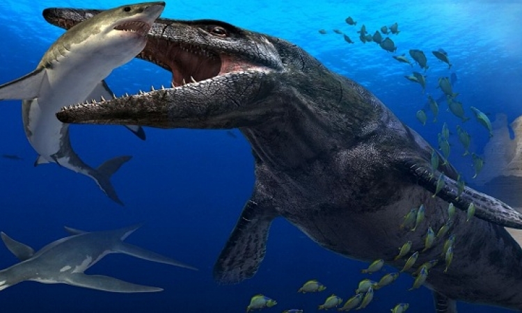 اكتشاف ديناصور بحرى نادر فى اسكتلندا عاش قبل 150 مليون سنة