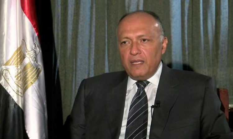 مصر والجزائر تؤكدان التنسيق الكامل بشأن ليبيا