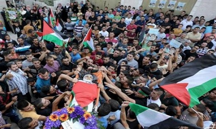 فلسطين تحارب الاحتلال بالاضراب العام