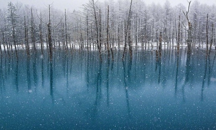 بالصور.. لقطات من غابات بحيرة “هوكايدو” الثلجية على مدار العام