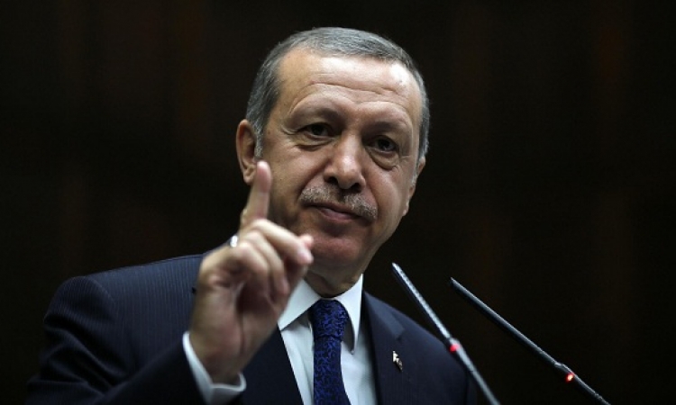 أردوغان يتهم ناشطين حقوقين بمحاولة أستكمال الانقلاب ضده