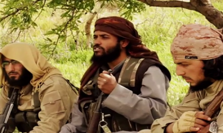 داعش تخترق صفحة تحيا مصر وتنشر مقاطع استهداف جنود مصريين