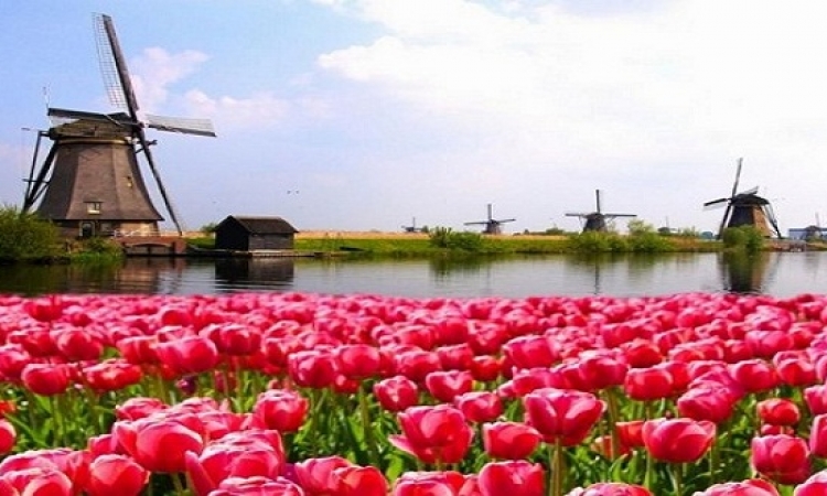 هولندا سحر وجمال وطبيعة .. لرحلة ربيعية