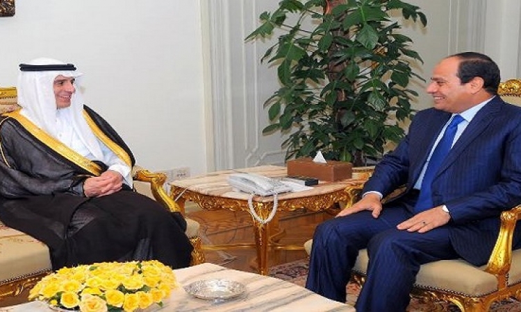 الرئاسة : توافق مصرى سعودى على أهمية الحل السياسى للأزمات الدولية