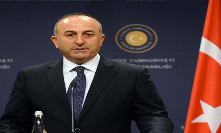 وزير خارجية تركيا : اتفقنا مع أمريكا على تقديم دعم للمعارضة السورية