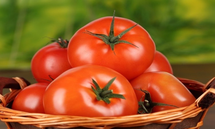 رئيس حماية المستهلك: الطماطم فى السوق بـ10 جنيهات .. مالها الصلصة