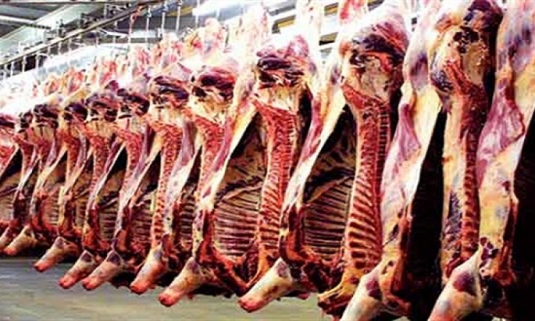 التموين تنفى رفع أسعار اللحوم فى منافذها
