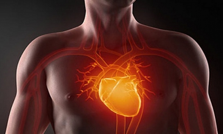 الصيام يؤثر بشكل إيجابى على القلب والأوعية الدموية