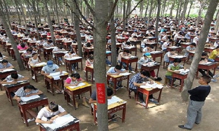 الصين تحارب الغش بامتحانات فى قلب الغابة.. ايه الرعب ده؟!