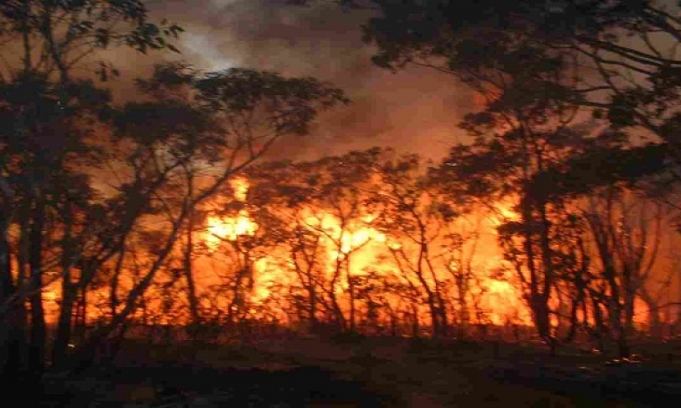 إسبانيا تحاول السيطرة على حريق الغابات ب 16 طائرة إطفائية
