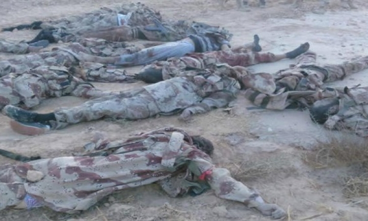 الجيش ينشر صور جثث الإرهابيين المشاركين فى هجمات الشيخ زويد