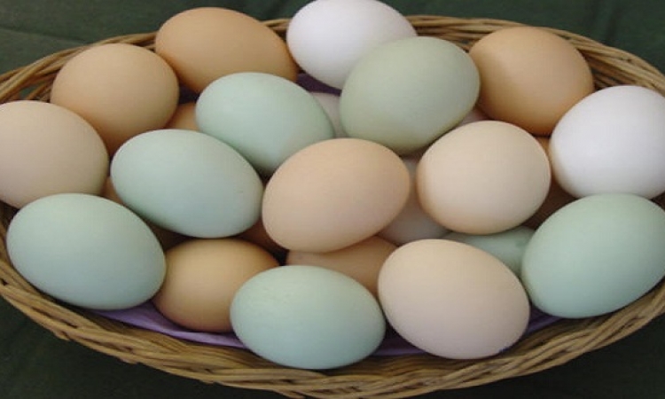 لهذه الأسباب ينصح الخبراء بتناول البيض النيئ