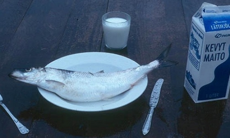 سمك لبن تمر هندى.. هل هناك مشكلة من جمع اللبن والسمك فى وجبة واحدة؟