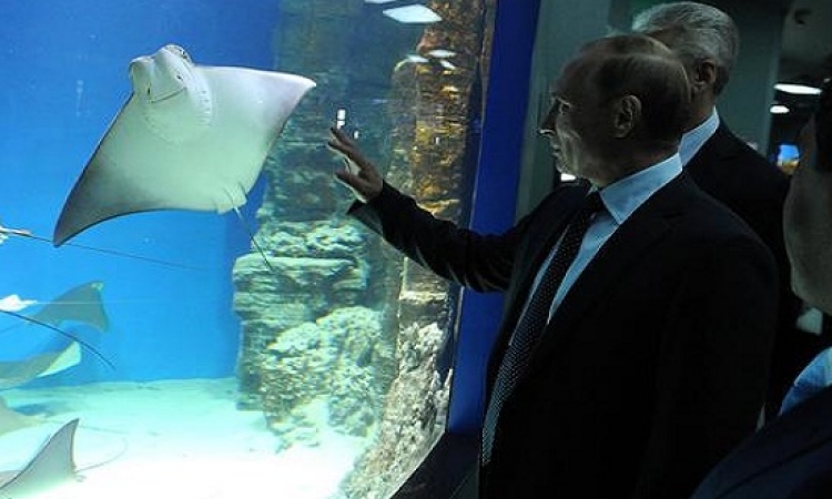 بالصور .. جولة فى مركز البيئة المائية بروسيا .. زى جنينة الأسماك عندنا بالضبط!!