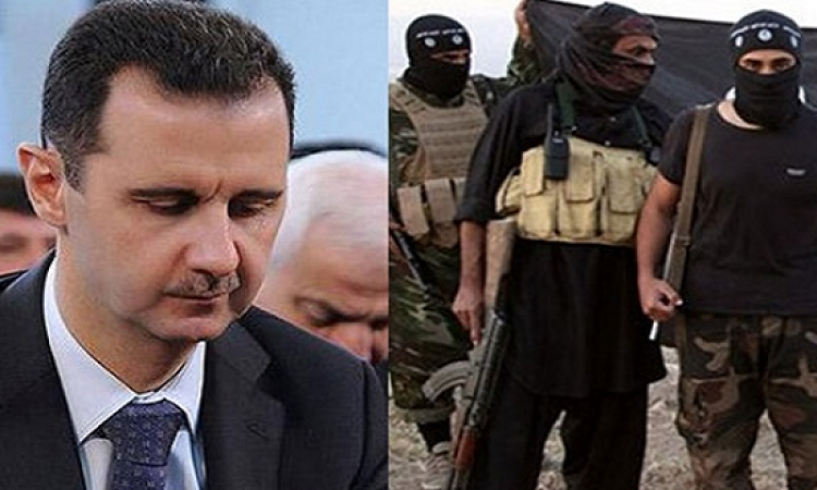 داعش .. وخطة الأسد على مائدة الحوار الاستراتيجى بين مصر وأمريكا