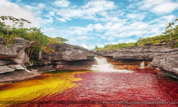 بالصور .. أجمل أنهارالعالم نهر كانو كريستال ذو الألوان الخمسة فى كولومبيا
