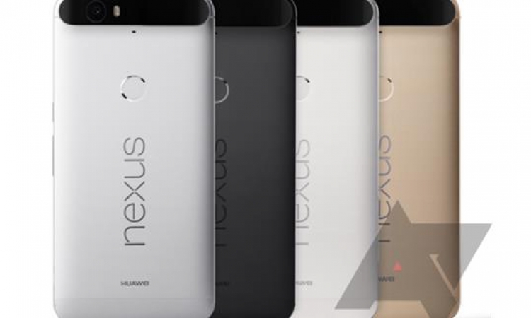 هاتف “Nexus 6P” سيتوفر بأربعة ألوان متنوعة