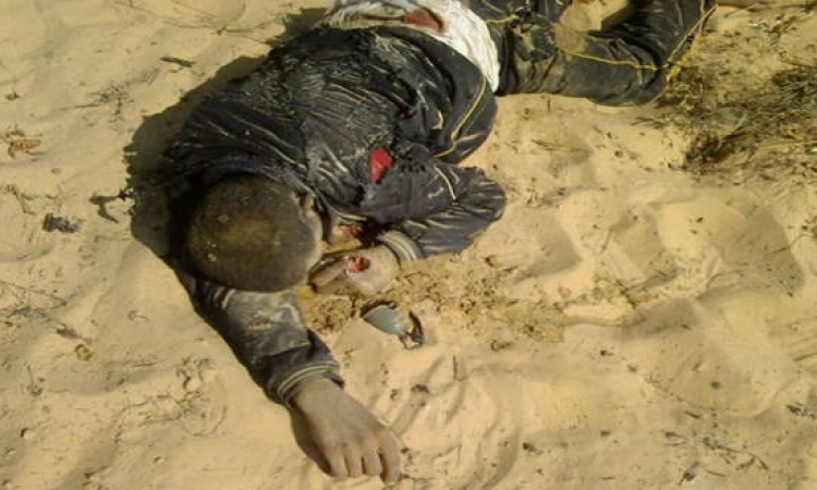 مقتل 17 إرهابيا من “انصار بيت المقدس” خلال حملات أمنية بشمال سيناء
