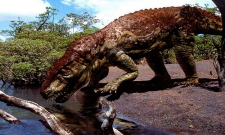 عمال مناجم أستراليون يعثرون على آثار متحجرة لديناصور
