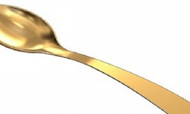ملعقة ذهبية للفائز فى مسابقة فن الطبخ الفرنسى