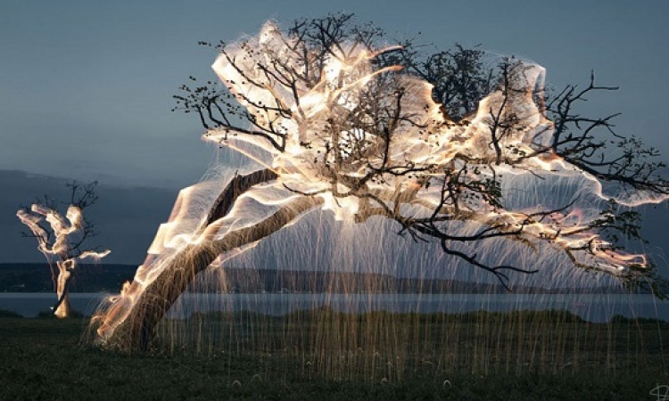 بالصور .. الاشجار المضيئة .. فكرة مذهلة لبرازيلى موهوب .. اهى تنفع لما النور يقطع !!