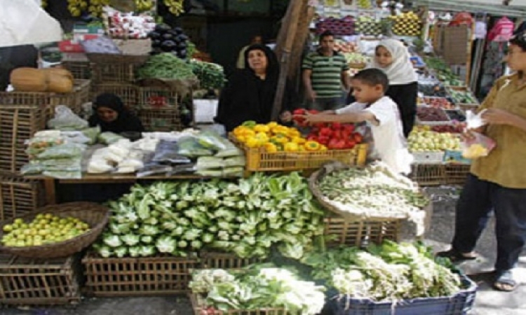 التموين : يتم ضخ 150 طن يوميا من الخضروات والفاكهه بأسعار مخفضة للأسواق