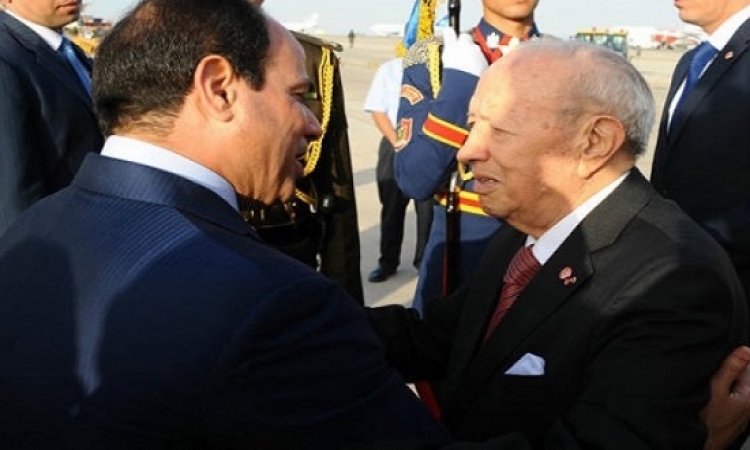 اوضاع ليبيا والعلاقات الثنائية يتصدران قمة السيسى والسبسى بالقاهرة