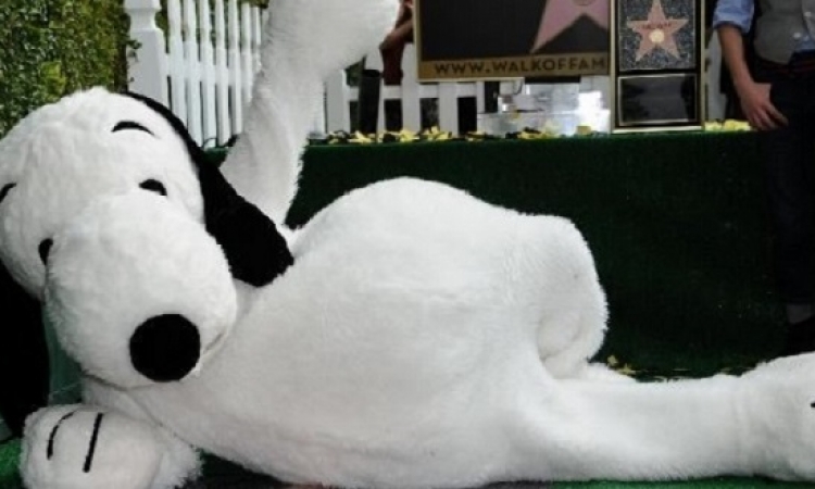 الكلب “سنوبى” ينضم لممشى المشاهير بهوليوود