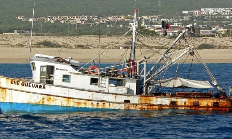 عودة الصيادين المصريين المحتجزين فى تونس بعد الإفراج عنهم