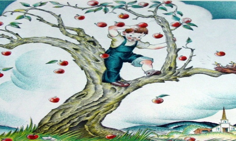قصة وعبرة .. الولد الصغير وشجرة التفاح الكبيرة
