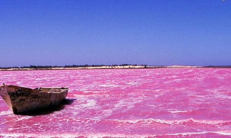 البحيرة الوردية .. روعة الطبيعة وسحر الرومانسية