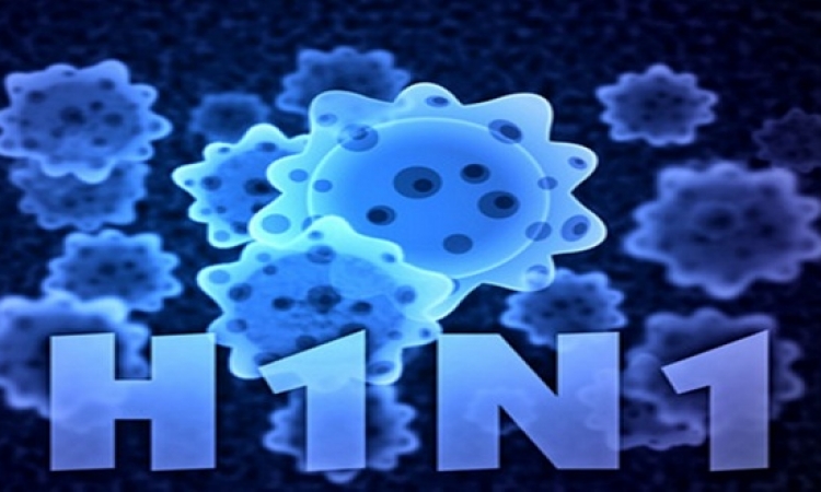 ارتفاع وفيات انفلونزا الخنازير بالبحيرة إلى 17 شخصاً