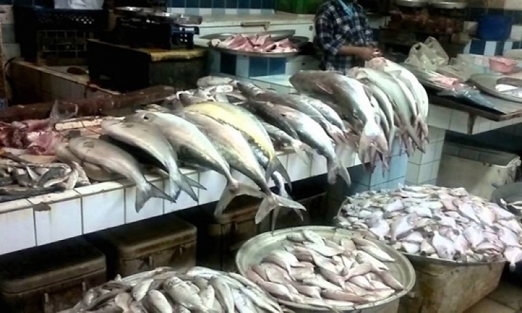 الغرفة التجارية: 20% ارتفاع فى أسعار الأسماك و25% للمجمدة