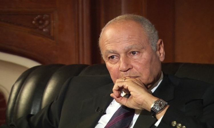 أبو الغيط: الجامعة العربية تولى أهمية لتماسك الجبهة الداخلية الفلسطينية