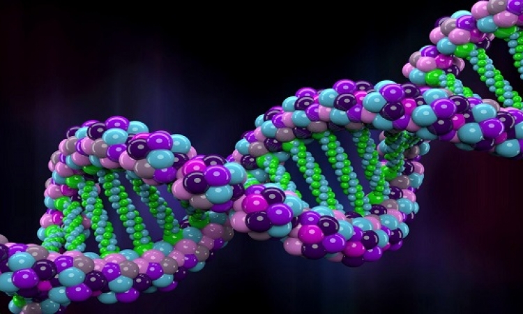 ابتكار يحفظ بيانات الحمض النووى آلاف السنين
