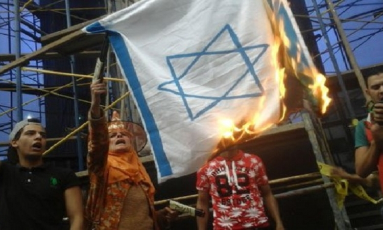 نشطاء يحرقون العلم الإسرائيلى على سلالم نقابة الصحفيين