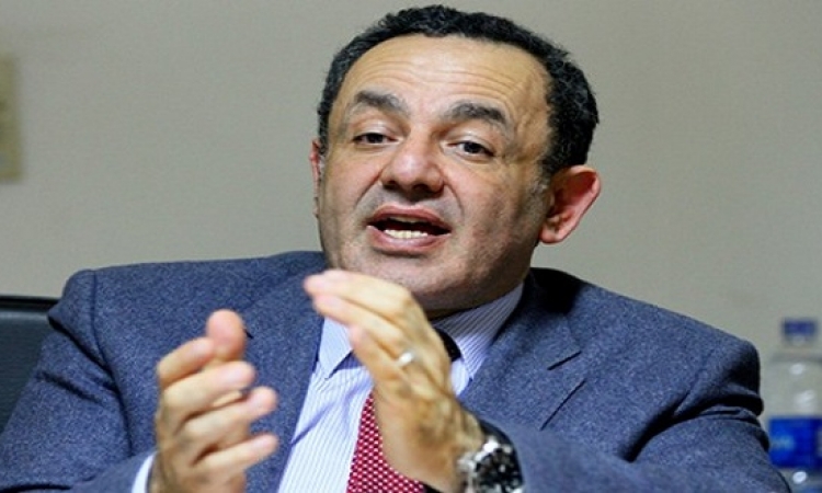 تأجيل طعن الشوبكى على فوز أحمد مرتضى بعضوية البرلمان لـ 15 مارس