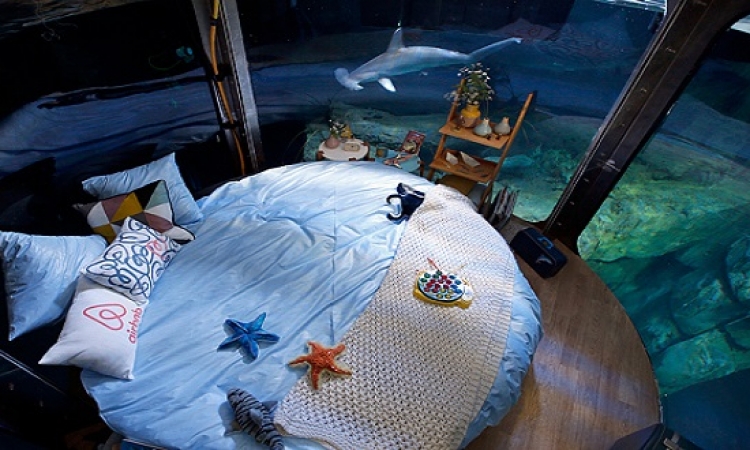 بالصور .. النوم وسط أحضان أسماك القرش بباريس !!