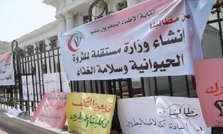 وقفة احتجاجية للأطباء البيطريين أمام مبنى دار الحكمة