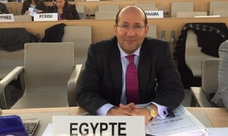 هشام بدر: الصين تؤكد دعم مصر لرئاسة مجلس الأمن في مايو المقبل