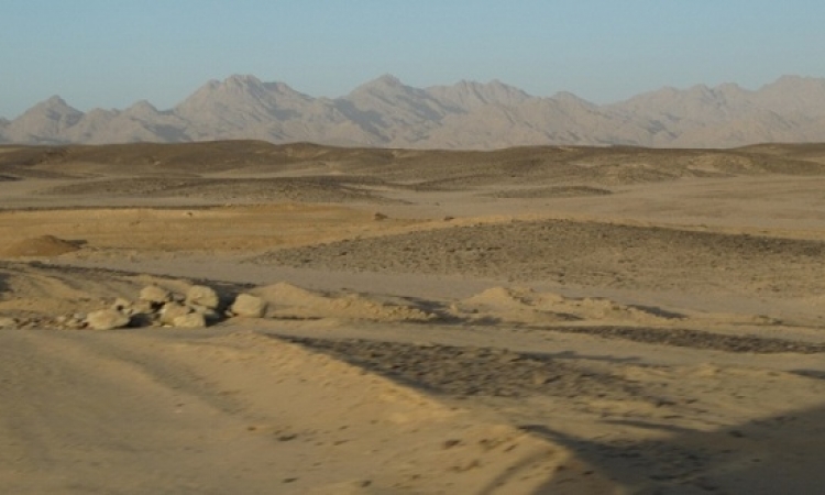 “الجويسرى الكويتية” تبحث فرص الاستثمار فى الصحراء الغربية