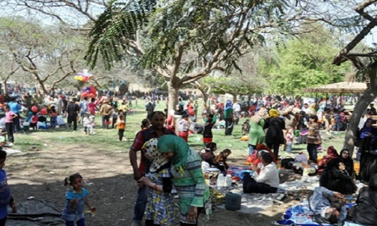 حدائق القناطر الخيرية تستعد لاحتفالات أعياد الربيع