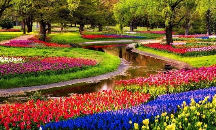 كوكينهوف .. أجمل حدائق العالم .. عندما ترتدى الطبيعة فستانها الملون !!