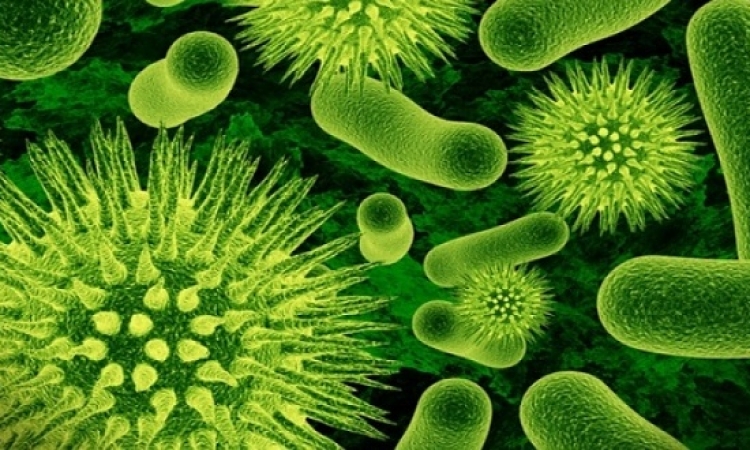 رصد أول حالة بكتيريا مقاومة للمضادات الحيوية بأمريكا