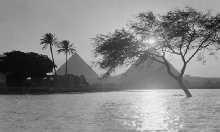 ديلى ميل تحتفى بمصر وتنشر صوراً للقاهرة عام 1900