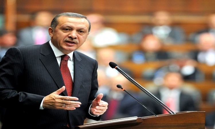 أردوغان: نحتاج دعم دول الخليج لتحقيق الاستقرار
