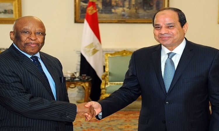 السيسى يؤكد دعم مصر لجهود استعادة الأمن والاستقرار بجنوب السودان